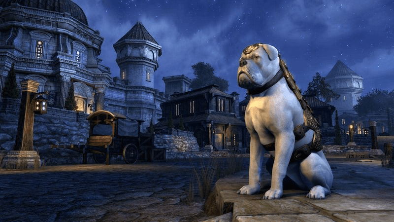Imperial War Mastiff pet